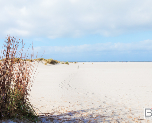 Het witte strand van Schiermonnikoog