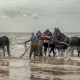 Paardenreddingsboot Ameland