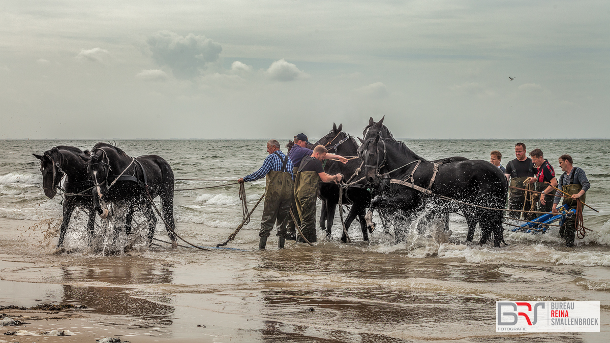 Paardenreddingsboot Ameland