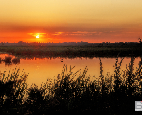 Zonsondergang Onlanden met reiger