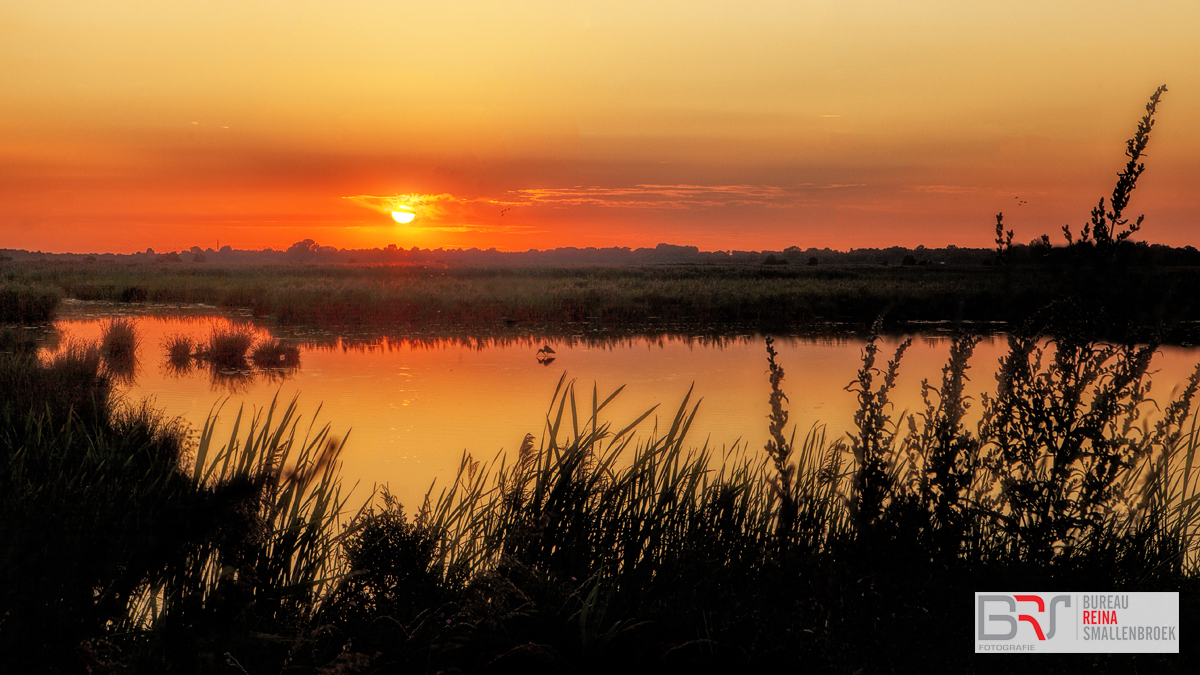 Zonsondergang Onlanden met reiger