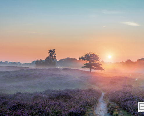 Zonsopkomst Gasterse Duinen met Flare