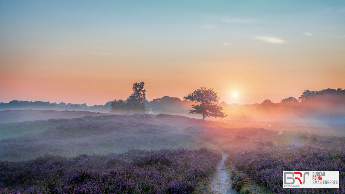 Zonsopkomst Gasterse Duinen met Flare