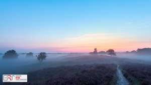 before sunrise Gasterse Duinen