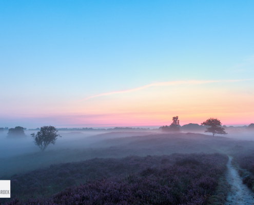 before sunrise Gasterse Duinen