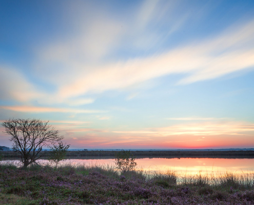 Dwingelderveld-in-pastels