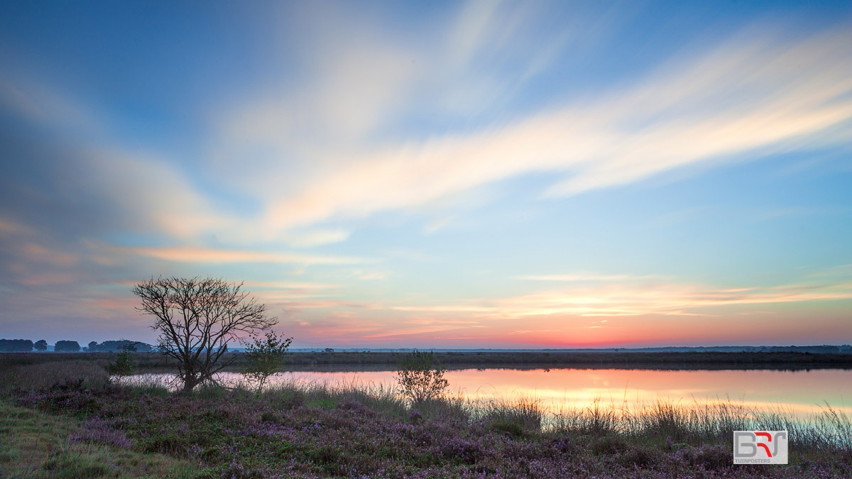 Dwingelderveld-in-pastels