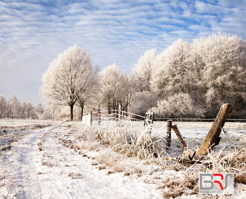 Pad, sneeuw en rijp in Kleur