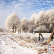 Pad, sneeuw en rijp in Kleur