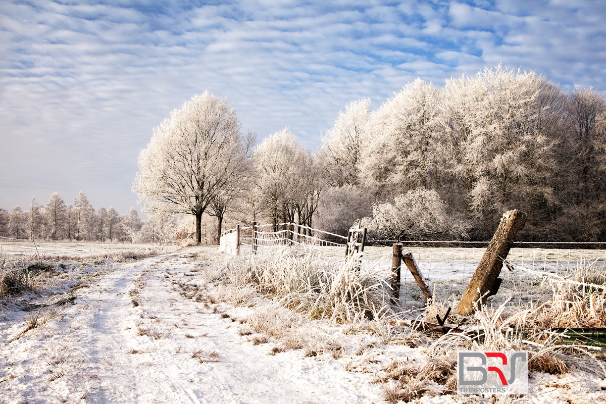 Pad, sneeuw en rijp in Kleur