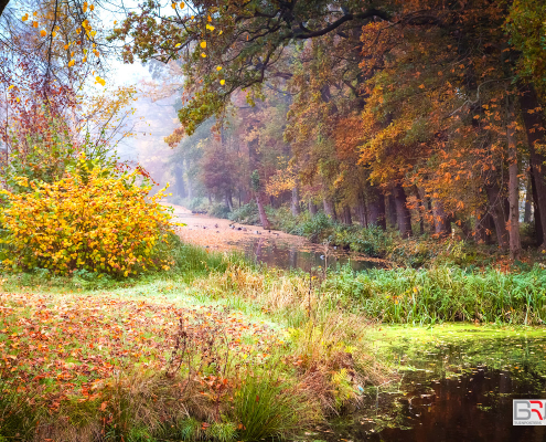 Herfst-in-Nienoord.Leek