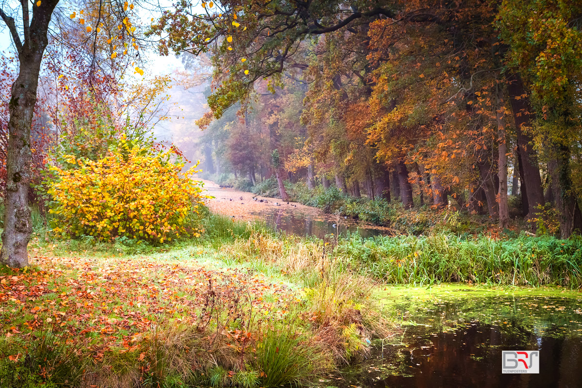 Herfst-in-Nienoord.Leek