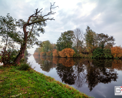 Herst-langs-het-water-in-de-Zuidwesthoek-van-De-Onlanden