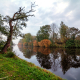 Herst-langs-het-water-in-de-Zuidwesthoek-van-De-Onlanden