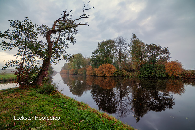 Leekster Hooddiep