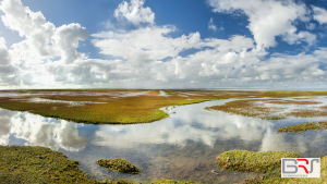 Ternaard tuinposter