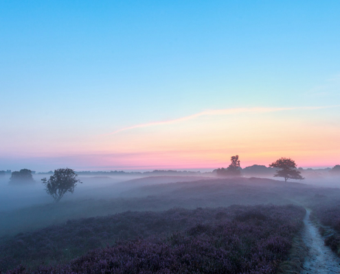 Voor-zonsopkomst-Gasterse-Duinen-in-pastel