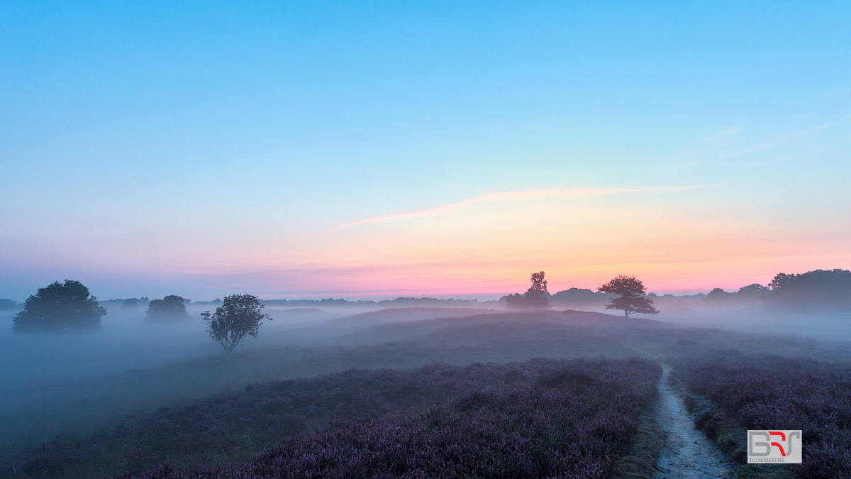 Voor-zonsopkomst-Gasterse-Duinen-in-pastel