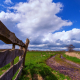 Wolkenpracht-in-landelijk-Nietap-Onlanden