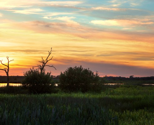 Zonsondergang Sandebuur