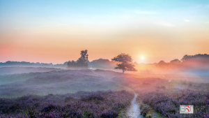 Zonsopkomst-Gasterse-Duinen-met-Flare