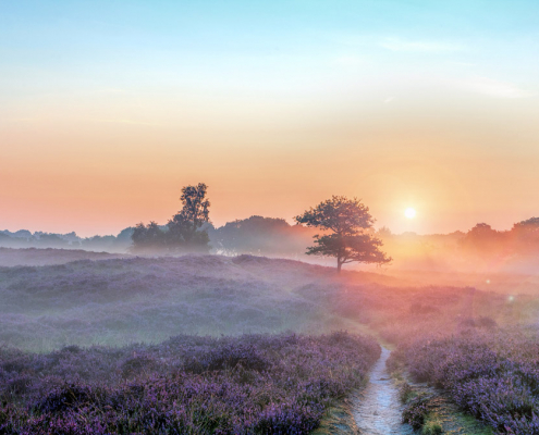 Zonsopkomst-Gasterse-Duinen-met-Flare