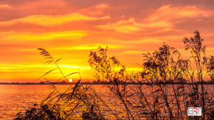 Zonsopkomst-Leekstermeer.in-oranje