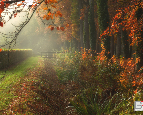 bruggetje-Coendersborg-Nuis-tijdens-mistige-ochtend-in-de-herfst