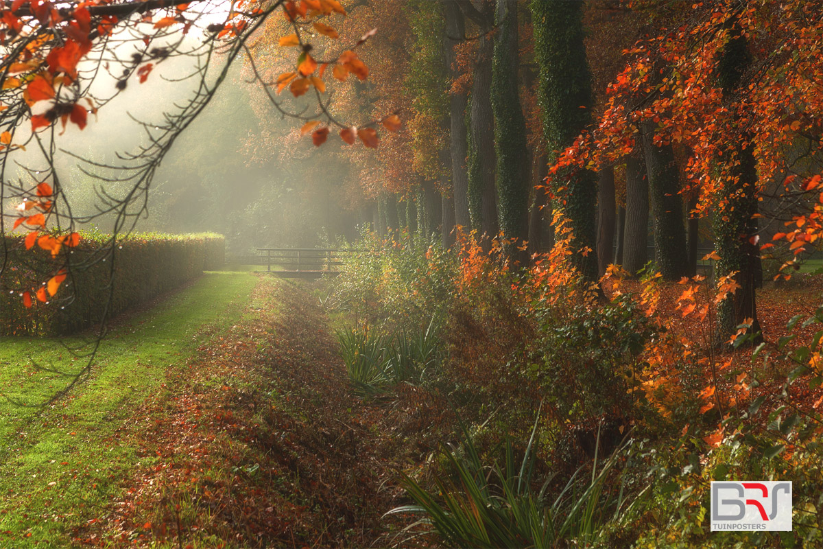 bruggetje-Coendersborg-Nuis-tijdens-mistige-ochtend-in-de-herfst