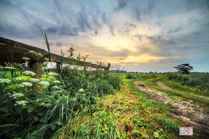 landelijke-zonsondergang-in-De-Onlanden