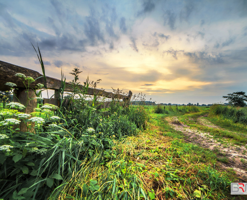 landelijke-zonsondergang-in-De-Onlanden