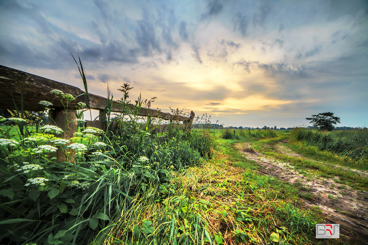 landelijke-zonsondergang-in-De-Onlanden