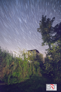 sterresporen-aan-het-Leekstermeer