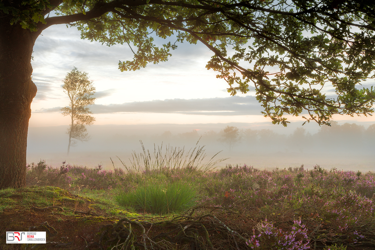 Doorkijk Balloërveld