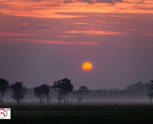 Sandebuur in de mist