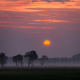 Sandebuur in de mist