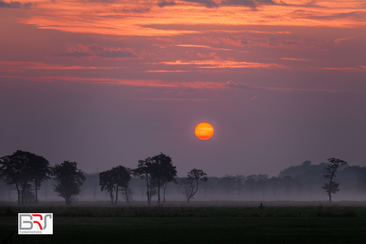 Sandebuur in de mist