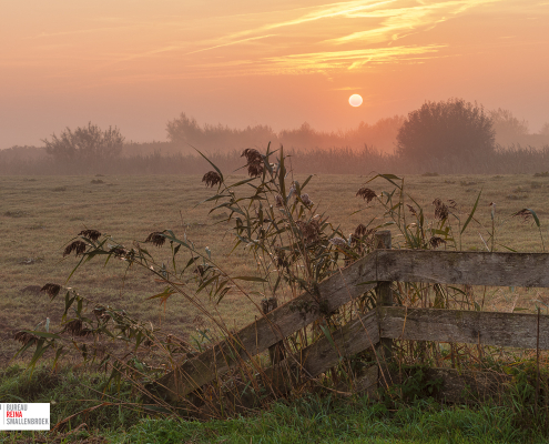 Leekstermeergebied in de mist