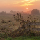 Leekstermeergebied in de mist