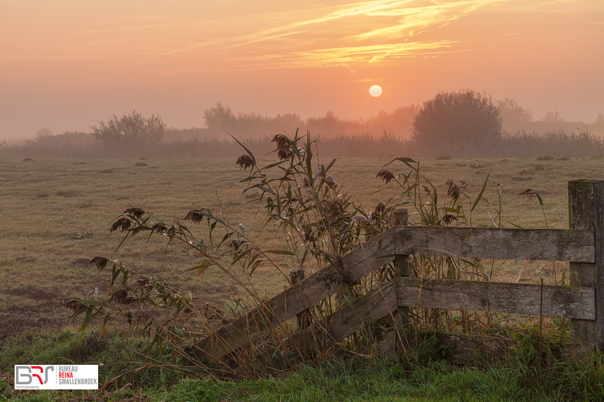 Leekstermeergebied in de mist