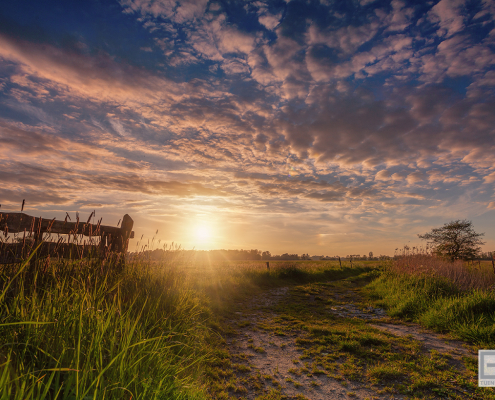 De Onlanden Leekstermeergebied Zonsondergang