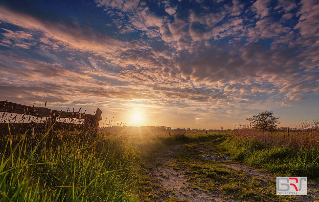 De Onlanden Leekstermeergebied Zonsondergang