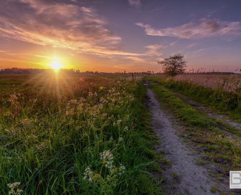 De Onlanden Leekstermeergebied Zonsondergang