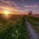 De Onlanden Leekstermeergebied Zonsondergang