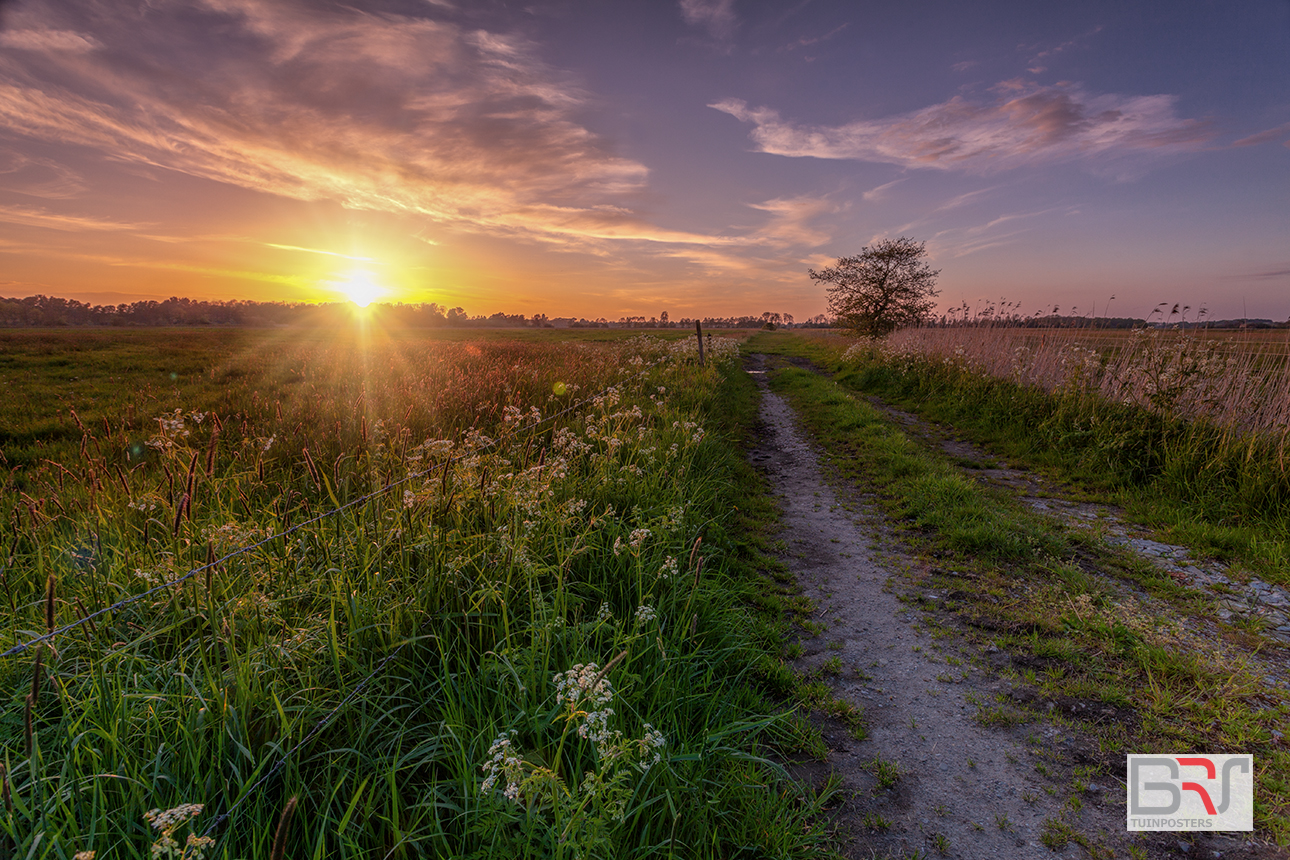 De Onlanden Leekstermeergebied Zonsondergang