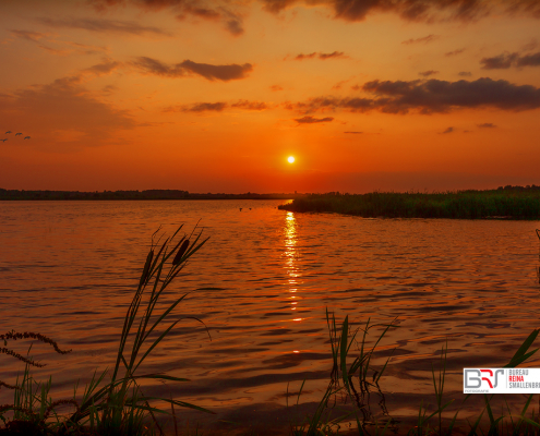 Rode Zonsondergang Onlanden met vogels