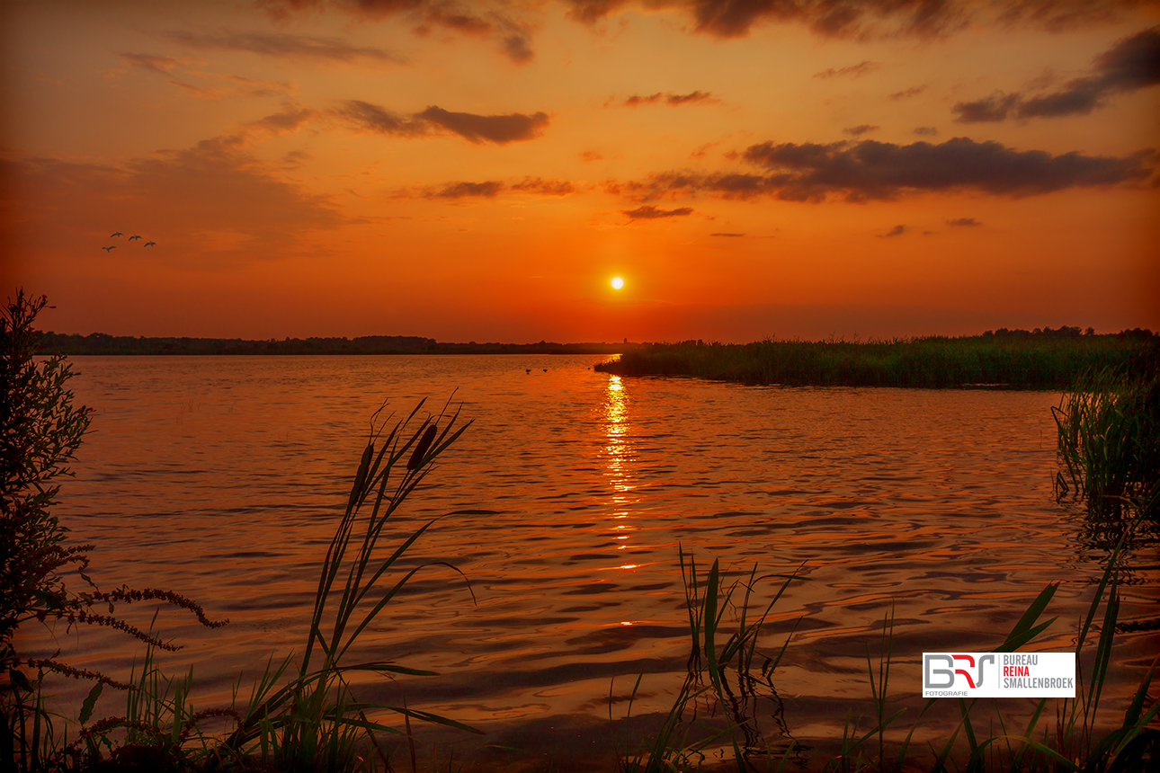 Rode Zonsondergang Onlanden met vogels