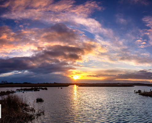 Zonsondergang De Onlanden