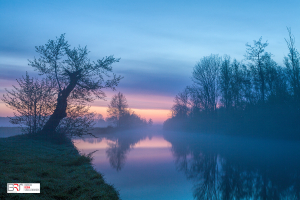 Polder Nienoord mistig inpastel