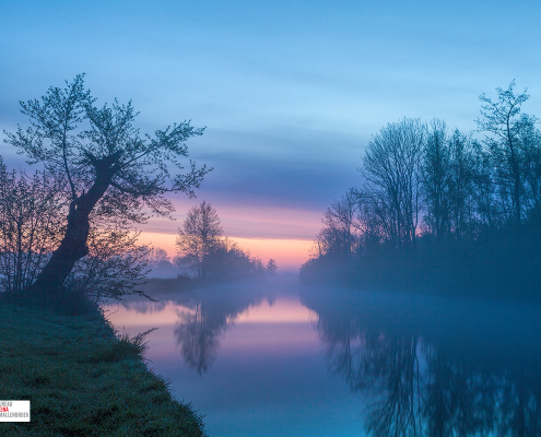 Polder Nienoord mistig inpastel